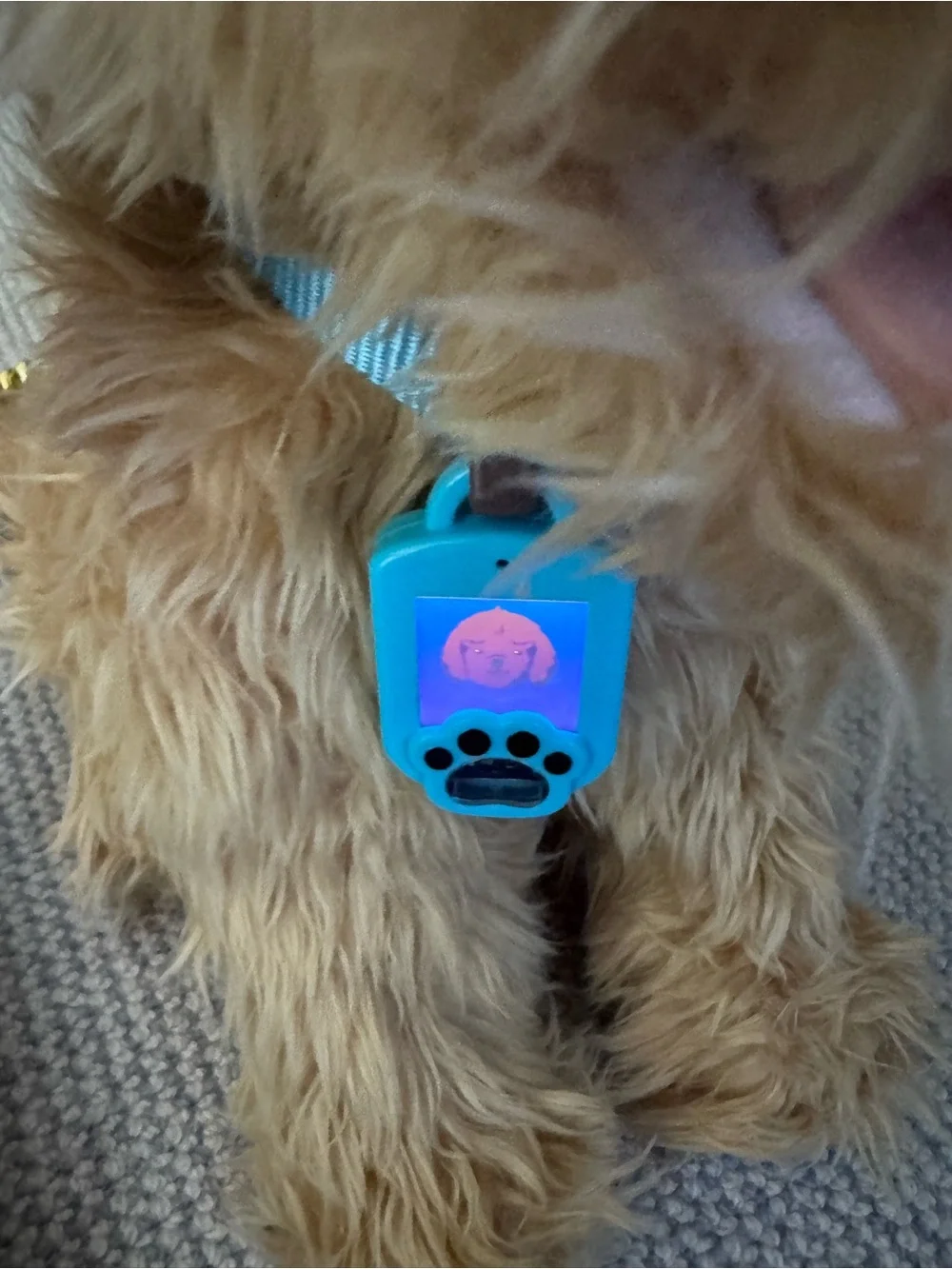 SkyRocket My Fuzzy Friend Moji interactive Labradoodle